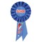 Beistle Set of 6 Blue Felicitations (Congratulations) Rosette Ribbon 6.5”